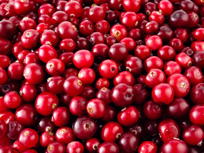 cranberry, Βακκίνιο ή κράμπερι