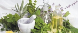 Αξιοποίηση αρωματικών και φαρμακευτικών φυτών